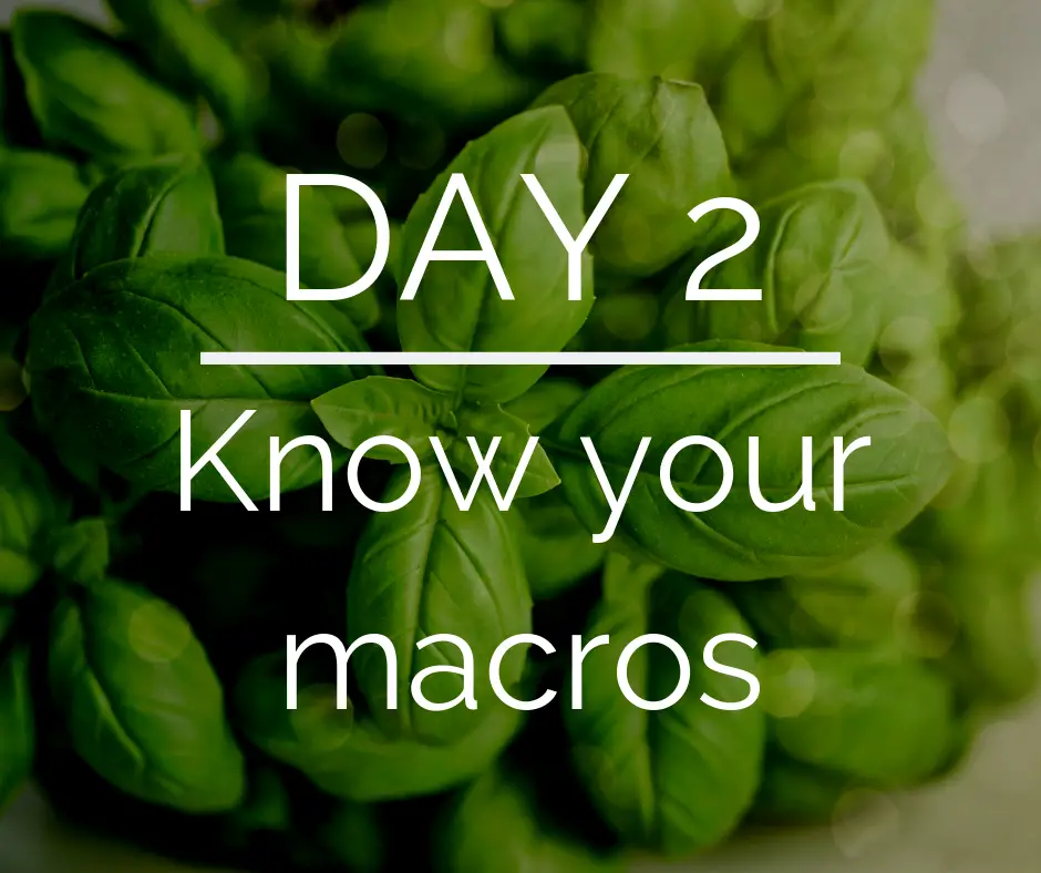 Day 2 of the 21 Day Keto Challenge – Macros on Keto