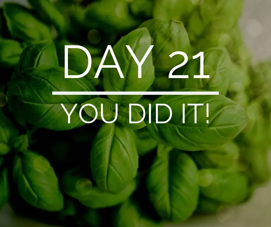 Day 21 of the 21 Day Keto Challenge