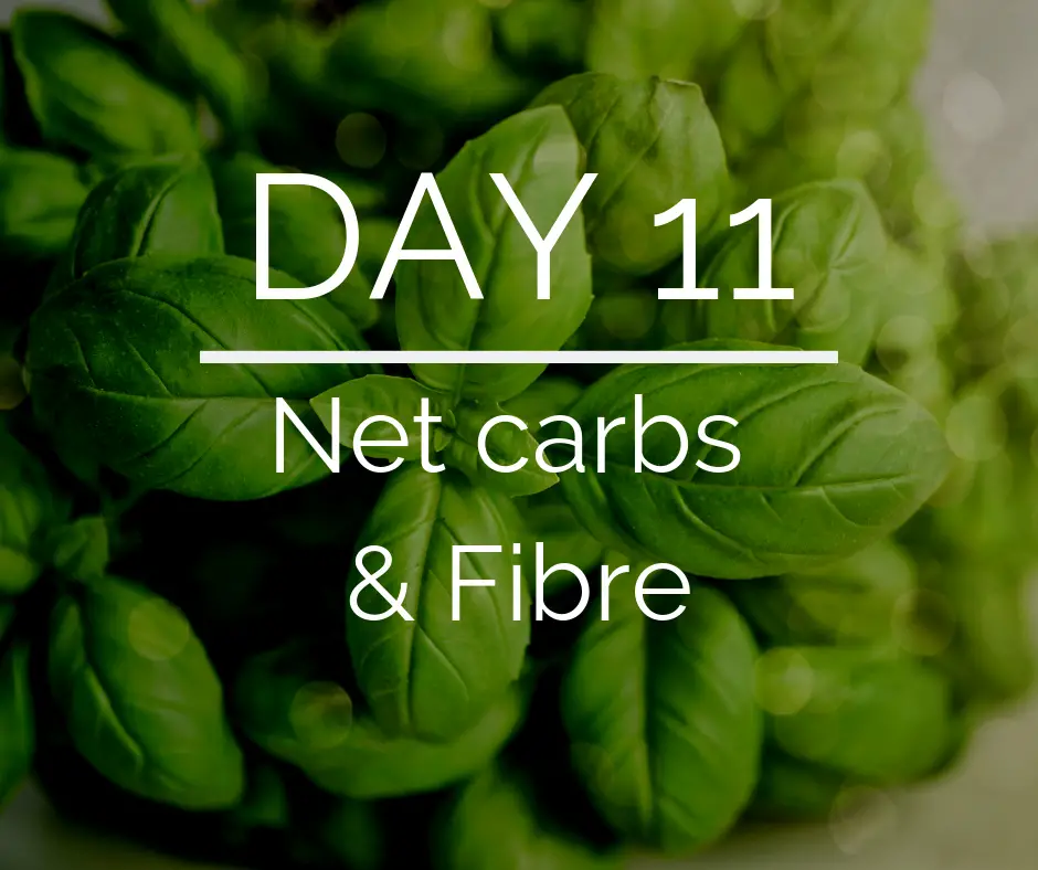 Day 11 of the 21 Day Keto Challenge