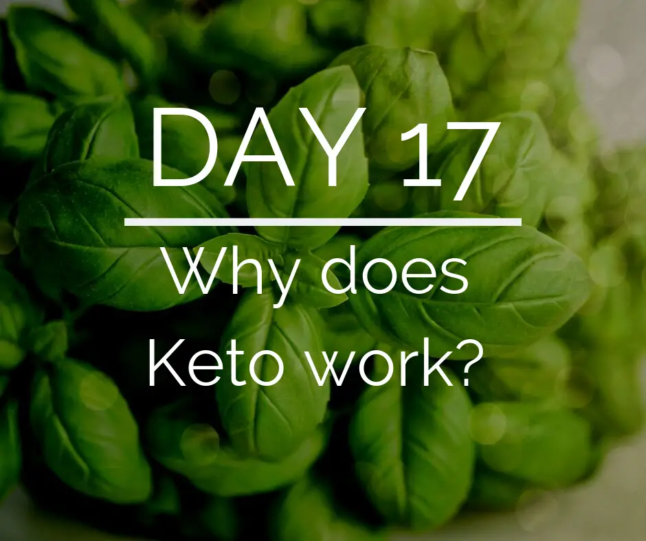 Day 17 of the 21 Day Keto Challenge