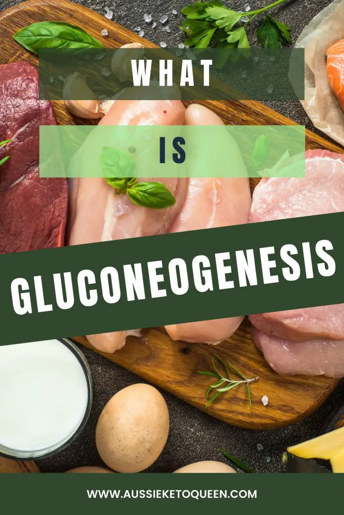 Protein on Keto – How much protein do you need on Keto? What is gluconeogenesis
