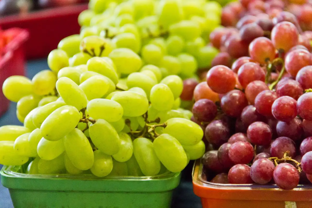 Are Grapes Keto? Carbs, Calories, And Health Benefits Of Grapes