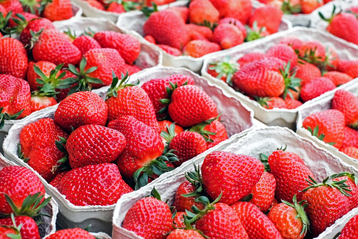 Are Strawberries Keto Or Too High In Sugar? + Keto-Friendly Alternatives