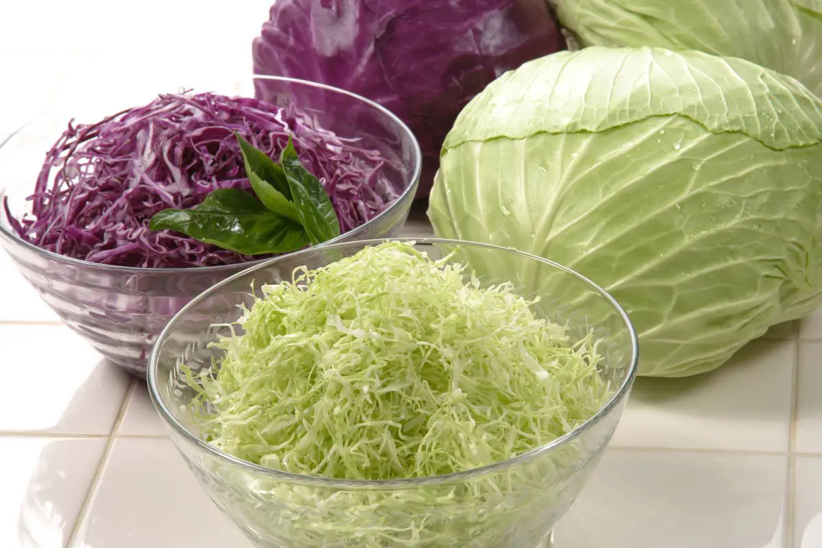 Cabbage And The Keto Diet: How Many Carbs Are In Cabbage?