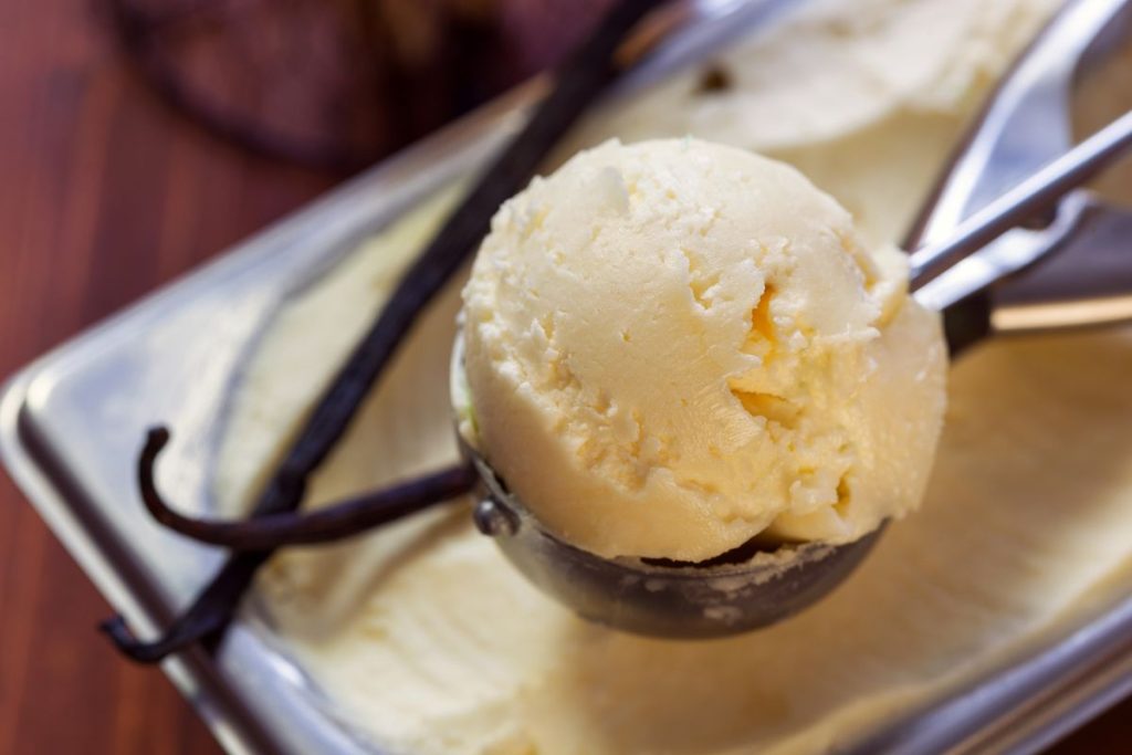 The Best Ninja Creami Keto Vanilla Ice Cream 