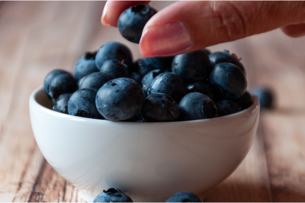 Are Blueberries High In Carbs?