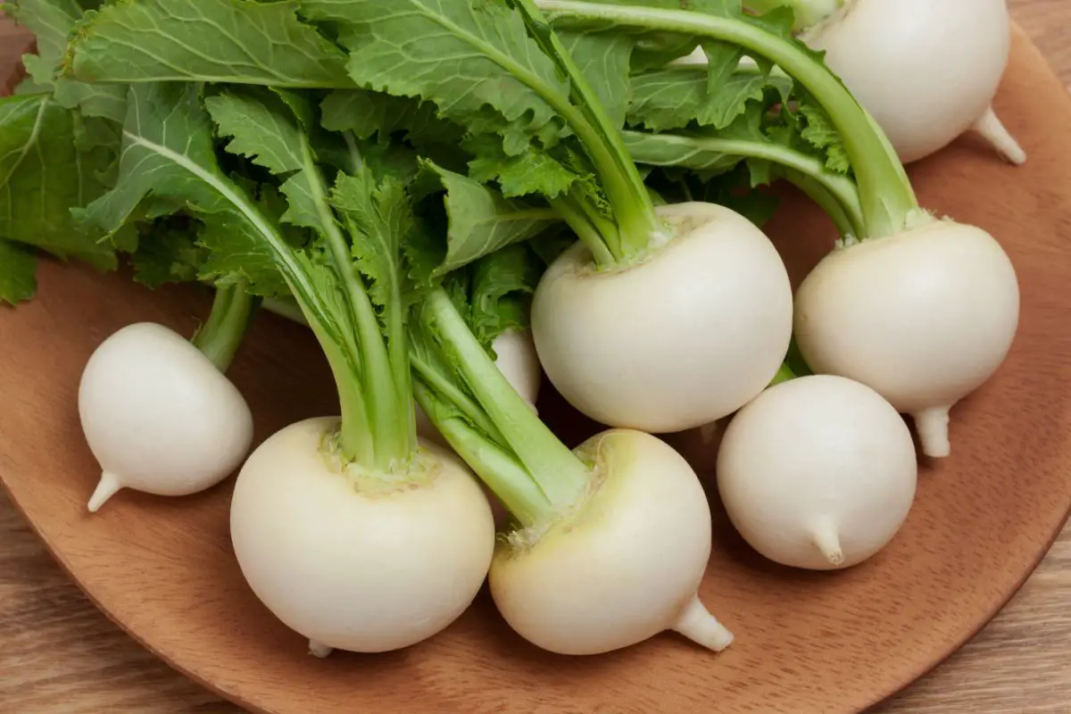 Are Turnips Keto? Discover Everything You Need To Know About Turnips